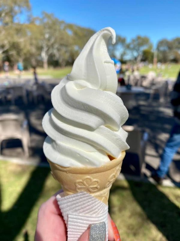 Soft Serve and Slushie Machine Hire in South Australia, Quote Request - Image 3
